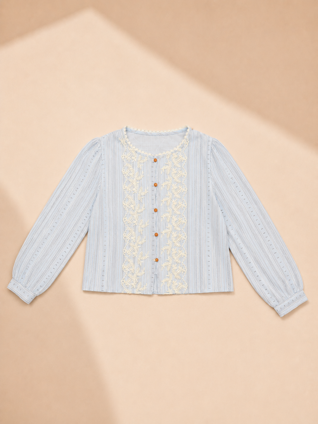 Lace Trim Embroidered Blouse
